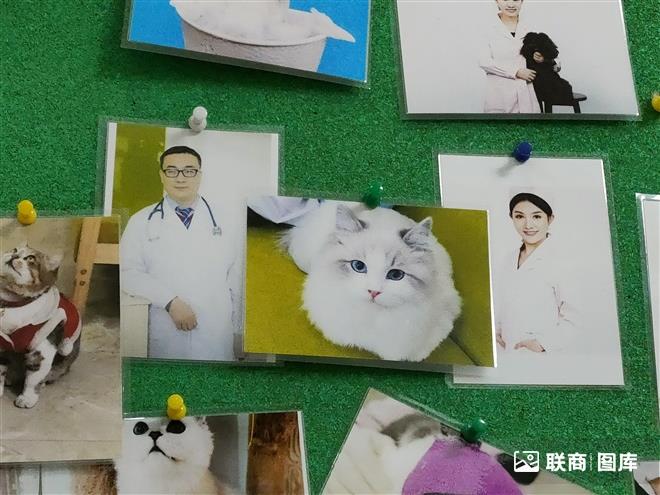 �����t(y��)Ժ