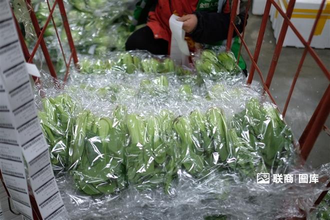 <a href=http://t.linkshop.com/kindex_id_1195.aspx target=_blank class=hotwords>���غ�</a><a href=http://t.linkshop.com/kindex_id_436.aspx target=_blank class=hotwords>��������</a>���� _28_