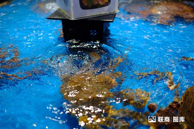 ���R�H����� _6_