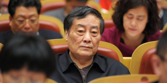 2015��ȫ��(gu��)���ɕ�(hu��)�����۽��˴������������